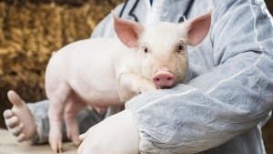 Campaña para disminución de uso de antibioticos en... 2 CfwgB0IWQAIqgdC