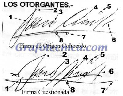 Es la firma cuestionada auténtica o falsa https://... 1 Clv91VoWQAA3XAs