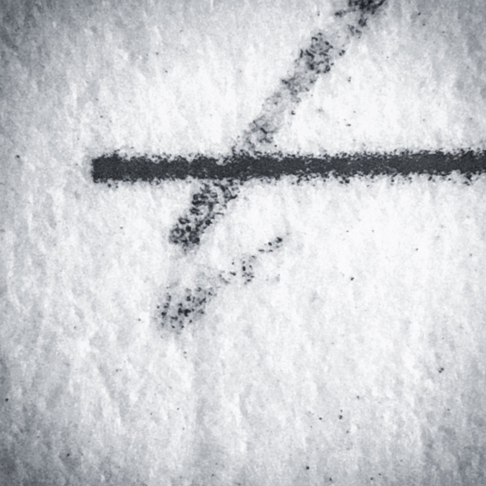 DE88755A 9634 46FC A934 5C76C1213BC0