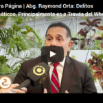 Delitos Informáticos,