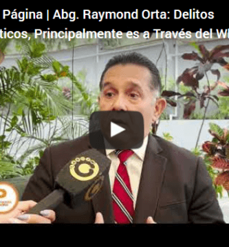 Delitos Informáticos,