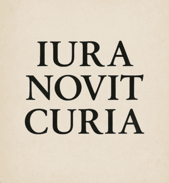 El principio iura novit curia (El juez conoce el derecho) 1 El principio iura novit curia ("el juez conoce el derecho")