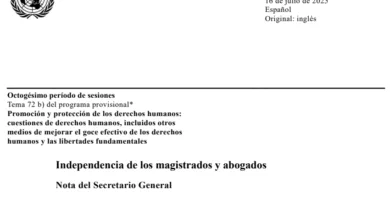 La inteligencia artificial en los sistemas judiciales: promesas y escollos